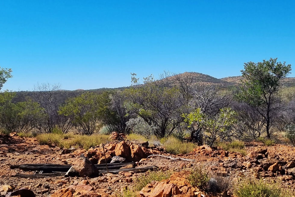 Litchfield Minerals survey lights up big NT copper-zinc targets