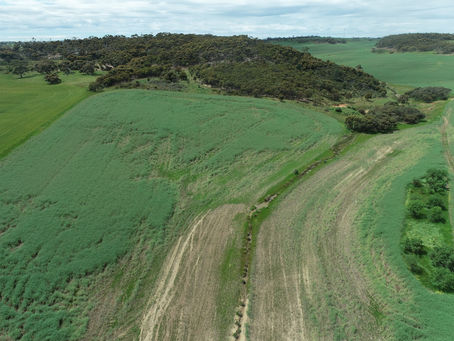 Lincoln Minerals to showcase graphite credentials to European Union