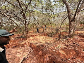 Savvy land grab bulks up Dalaroo Metals West African gold play