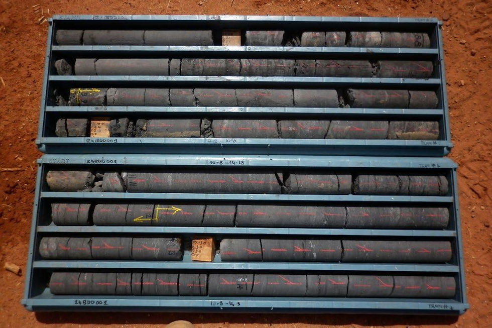 A core tray from Octava Minerals’ Byro polymetallic project in WA’s Gascoyne region showing the distinctive Permian black shale from shallow depths. Credit: File.