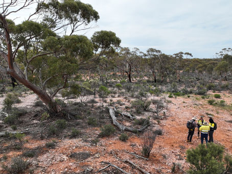 Dynamic Metals cleared to test 13 gold targets near Norseman in WA