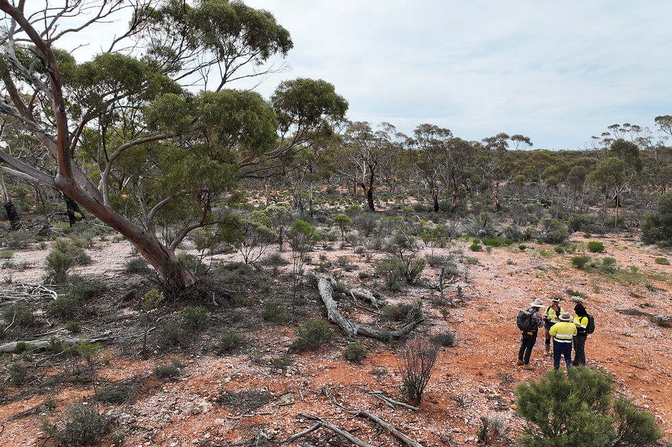 Dynamic Metals exploration team in the field at its Cognac prospect, 46km northeast of its Chalice South prospect north of Norseman in WA. Credit: File