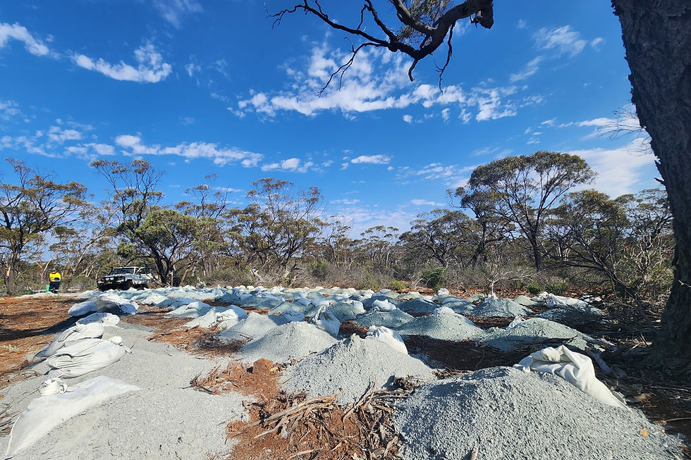 Dynamic Metals and Mineral Resources have sealed a revamped $20 million lithium joint venture at Widgiemooltha in Western Australia by streamlining the tenements and extending the earn-in terms. Credit: File
