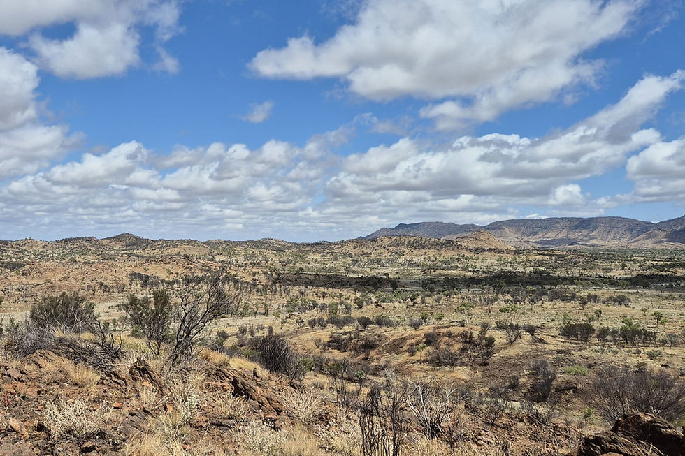 BHP backs Litchfield Minerals with elite Xplor accelerator program