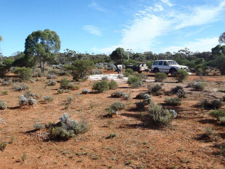 Lincoln Minerals gets to work on 7km uranium anomaly in SA