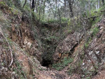Thunderbird Resources unearths sulphide-rich gold targets in NSW