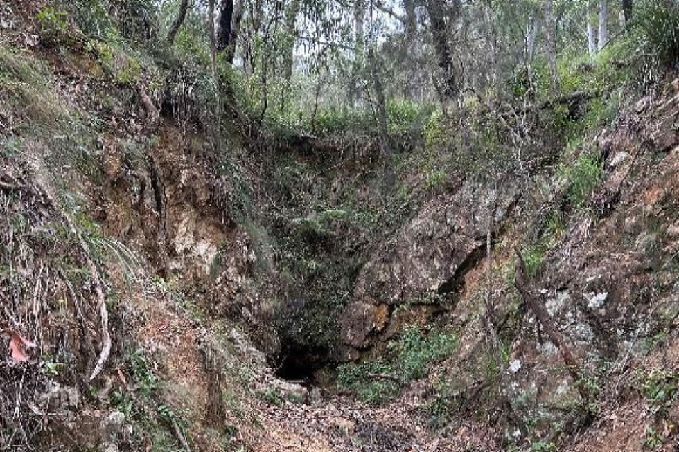 Thunderbird has identified a string of sulphide-rich gold targets close to old workings at its Kookabookra project in New South Wales. Credit: File
