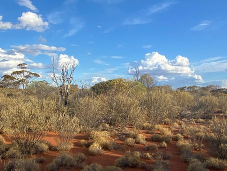 Western Mines Group eyes deep WA nickel with $250k grant for seismic sweep