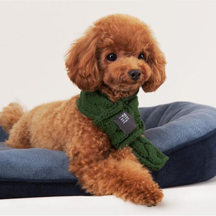 Thumbnail: Thick Warm Scarf for Dogs - Cute Pet Scarf