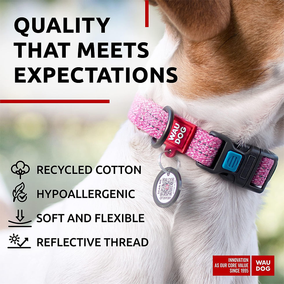 Thumbnail: Pink Reflective Cotton Dog Collar for Small Dogs 914 inch Neck x 3/5 inch
