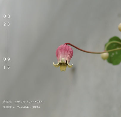 刀尖的優雅 - 也趣畫廊