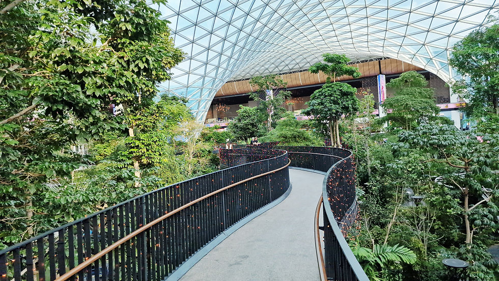 Im Abflugbereich des Flughafens wurde ein Teil des Dachs mit Glas erstellt. Darunter hat man Bäume gepflanzt. Ein Baumwipfelpfad führt durch den "Dschungel".