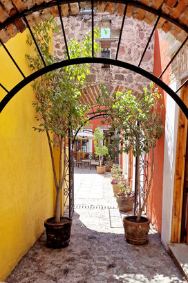 Kübelpflanzen flankieren eine kleine romantische Gasse.