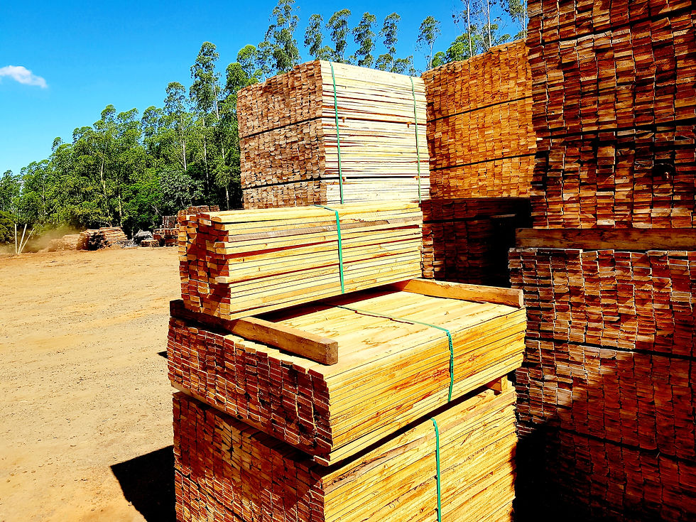 Stacks of sawn wood have been packed and are waiting to be transported away.