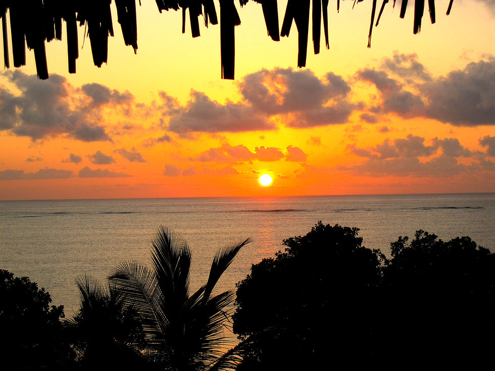 In warmen Gelb und Orange versinkt die Sonne am leicht wolkigen Himmel im Meer. Im Vordergrund die Silhouetten einiger Palmen und Bäume.