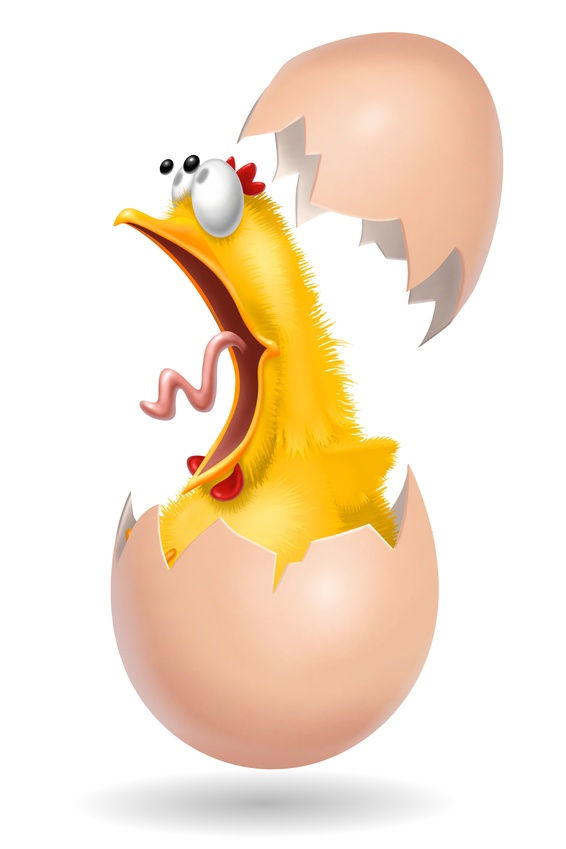 Cartoon of a cracked chicken egg shows a horrified chick with googly eyes wide open.