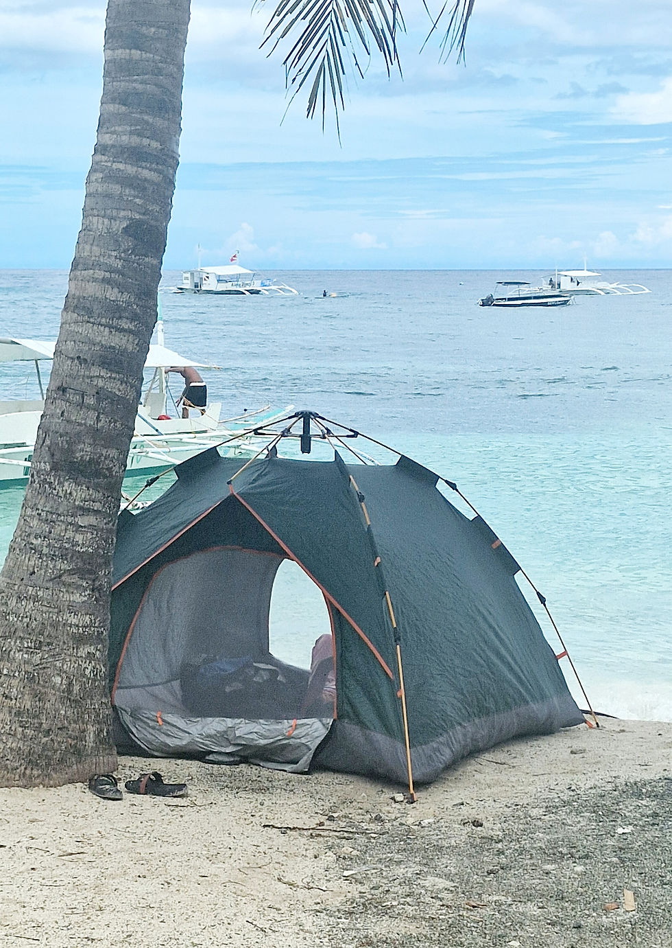 A simple blue-grey tent stands under a palm tree, right by the sea.