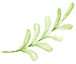 葉01.png
