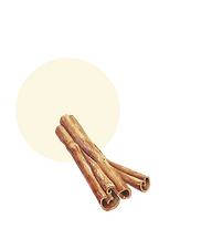ケイヒ.png