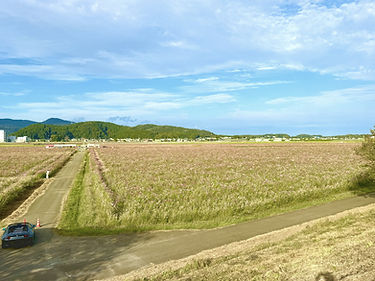 背景.jpg
