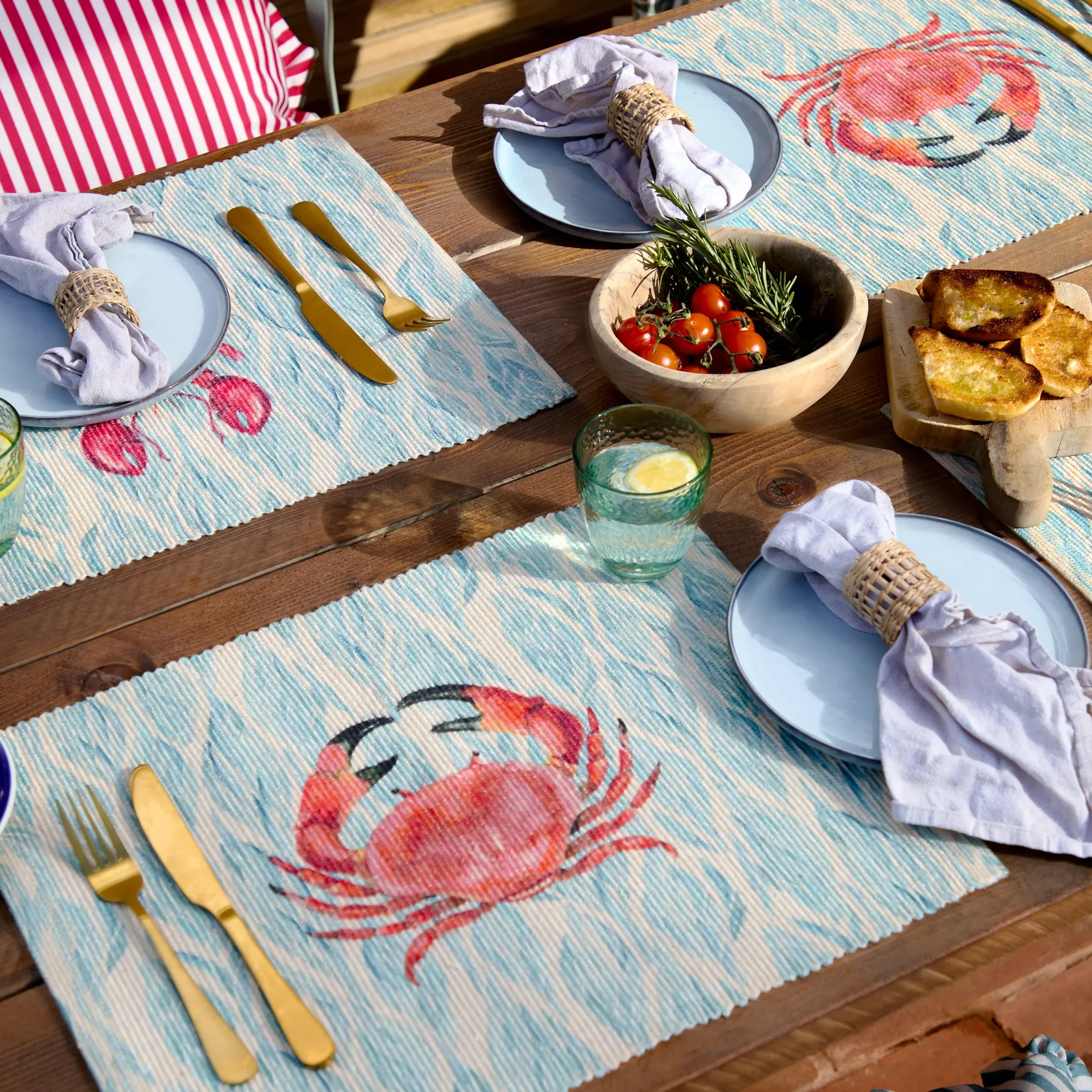 Abersoch Set of 4 Indoor/Outdoor Placemats (Marine)