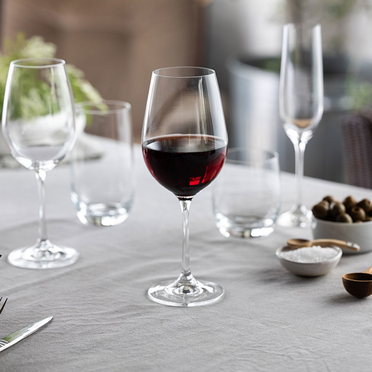 Wine & Dine Red Wine (Set of 6)