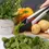 Thumbnail: Essentials Stainless Steel Tongs