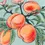Thumbnail: Anemone Peaches Printed Outdoor Cushion Cover (Multi)