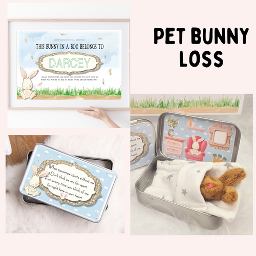 B Rabbit Lose Yourself Bunny Loss pocket rabbit | Aimee Rose Designs