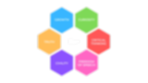 Copy of Copy of values_LQA (6).png