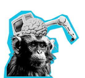 Desk research for startups by Enaks Marketing Intelligence