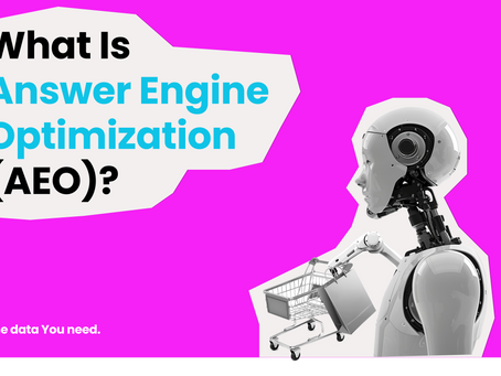 Answer Engine Optimization Guide by Enaks Marketing Intelligence