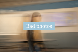 PHS Shrubs-21_edited_edited_edited.png