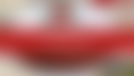 Ενημερωτικό Δελτίο ΤΕΓ Γάνδης - Ιανουάριος 2024