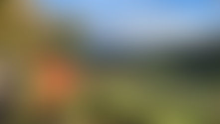 Spezialitätenwanderung