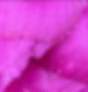 IMG_9183_blur.jpg