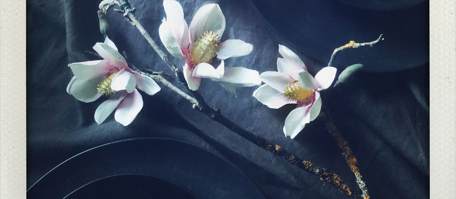 DEKORATION / erblühen / soulfood letter