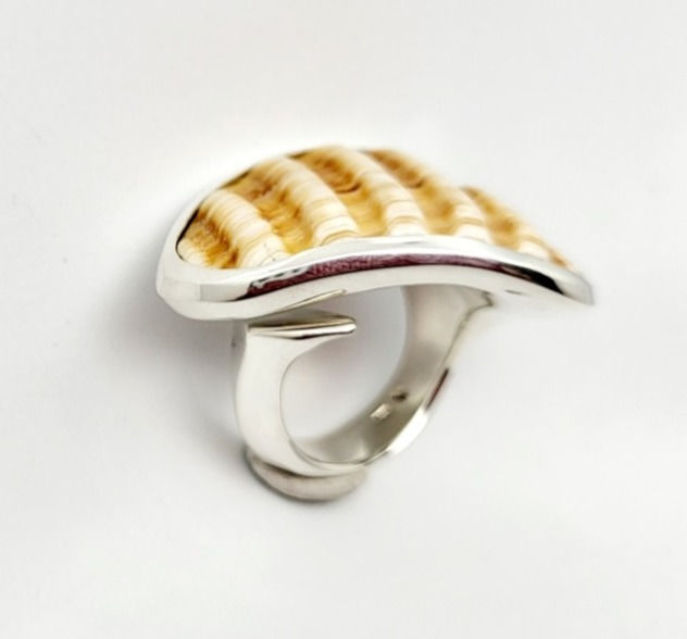 Bague coquillage ligné
