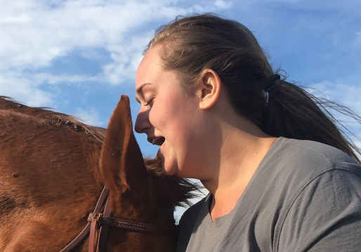 The Language of Horses: Understanding Equine Body Language and Communication