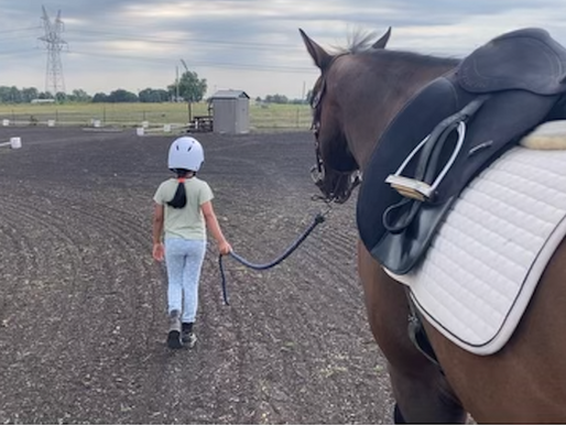 How Horsemanship Instills Self-Confidence and Teaches You About Yourself