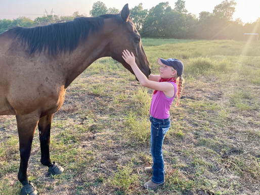 The Power of Equine-Assisted Therapy – Beyond Emotional Support