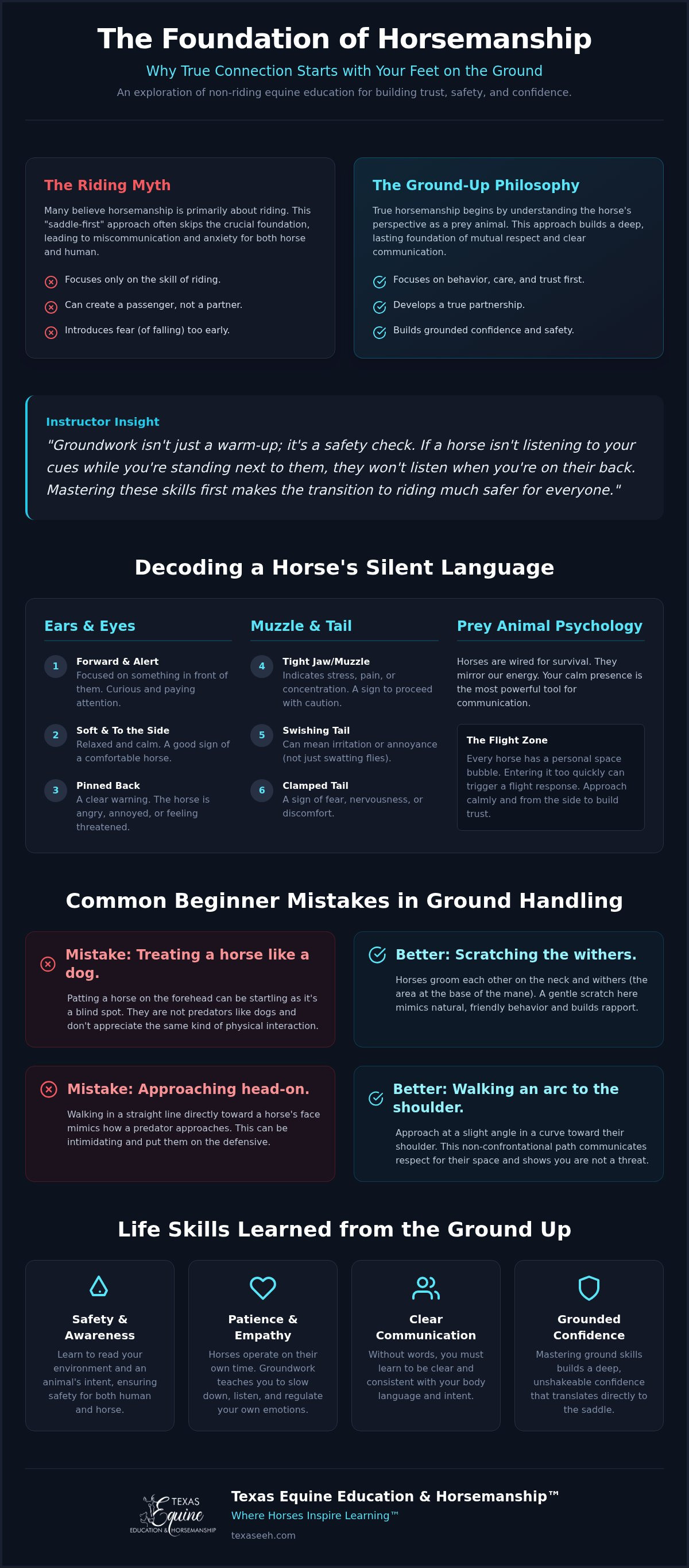 Non-riding horse education