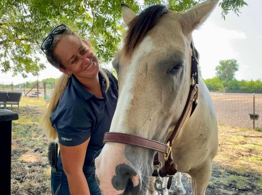 How Nutrition Affects Your Horse’s Performance and Behavior