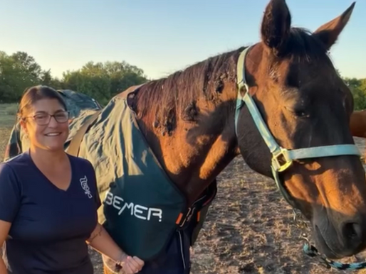 PEMF and BEEMER Treatments for Horses