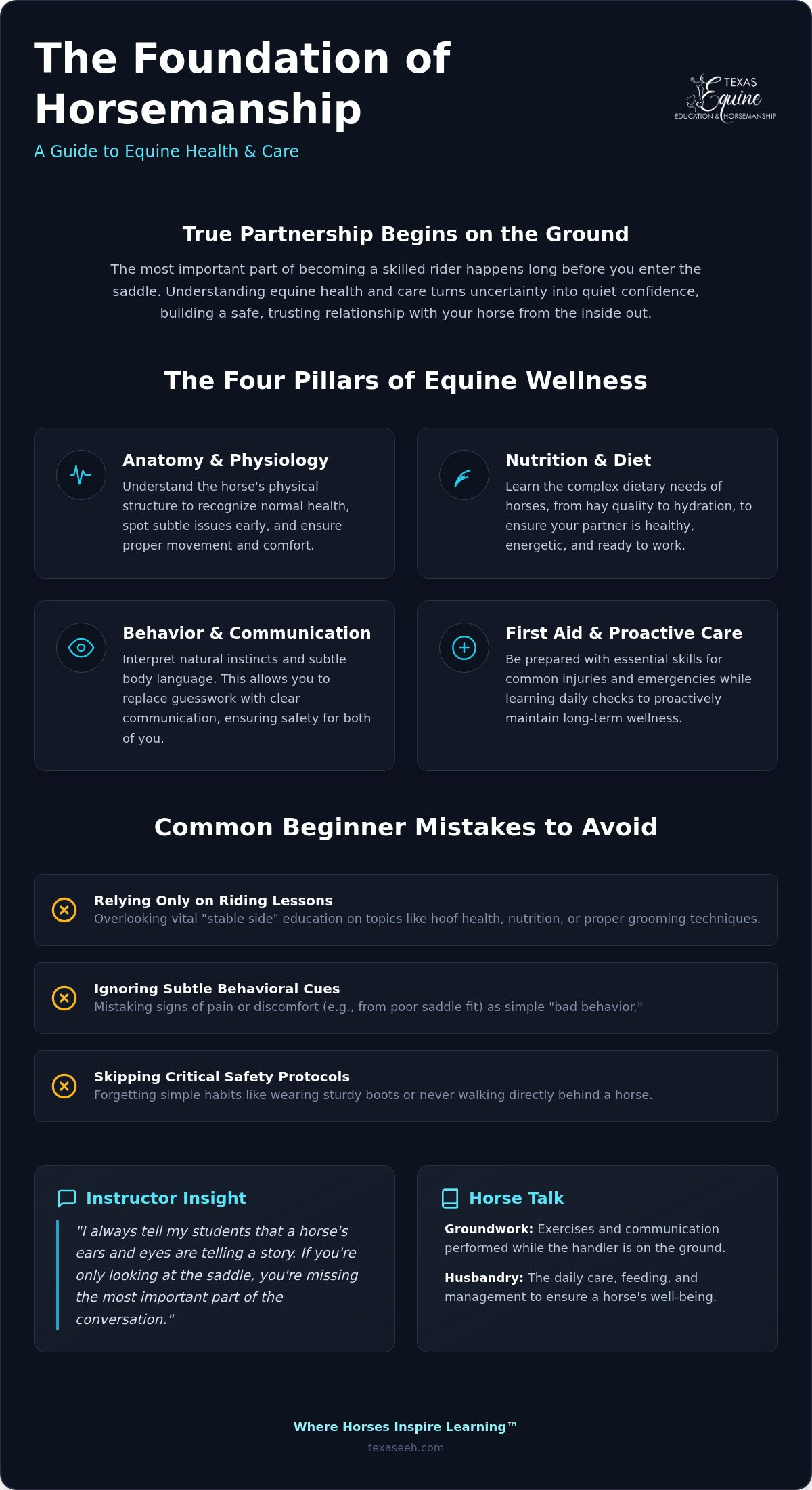 Equine health and care classes