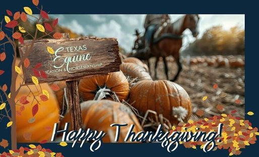 Giving Thanks: A Thanksgiving Reflection from Texas Equine Education & Horsemanship