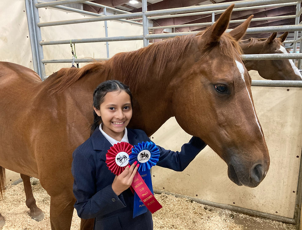 Summer 2026 Online Dressage Show