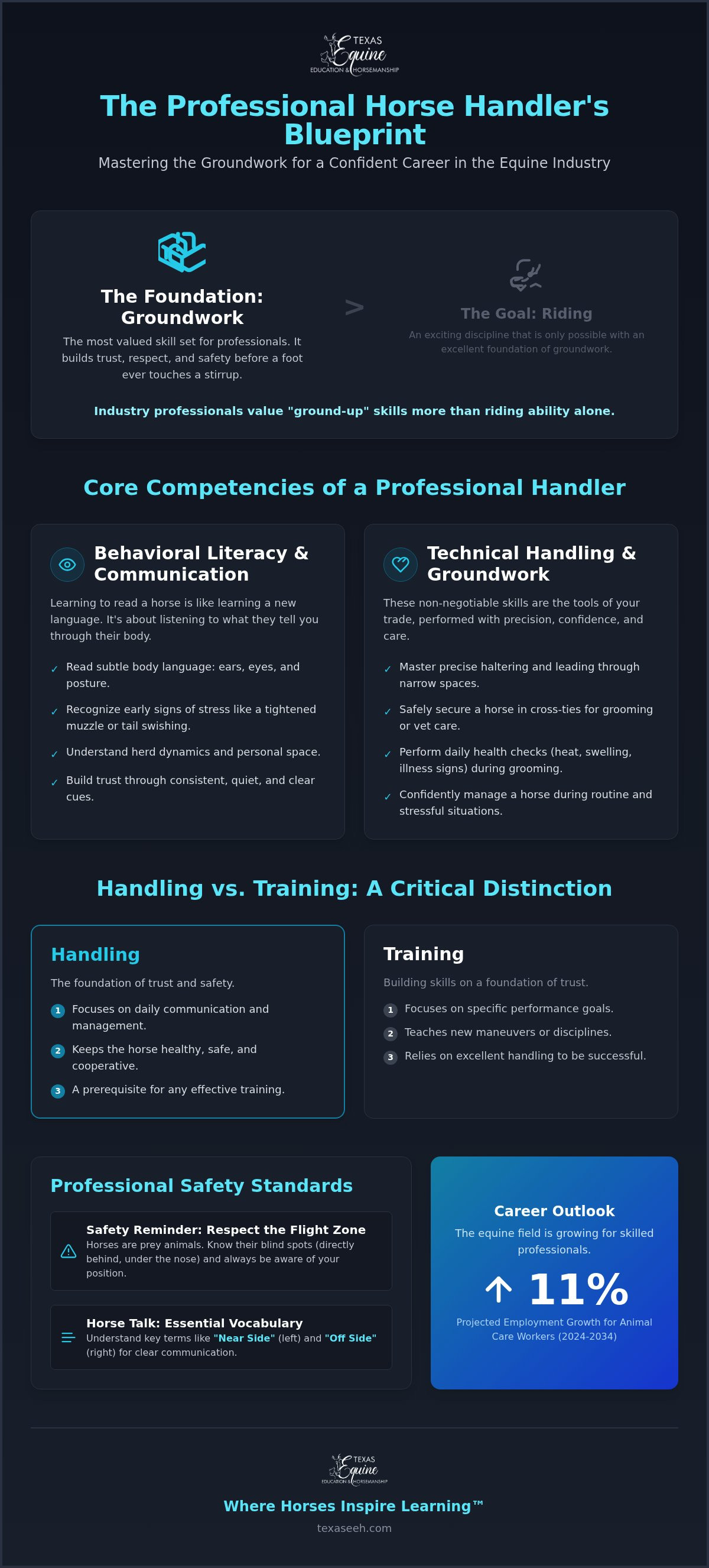 Professional horse handler course
