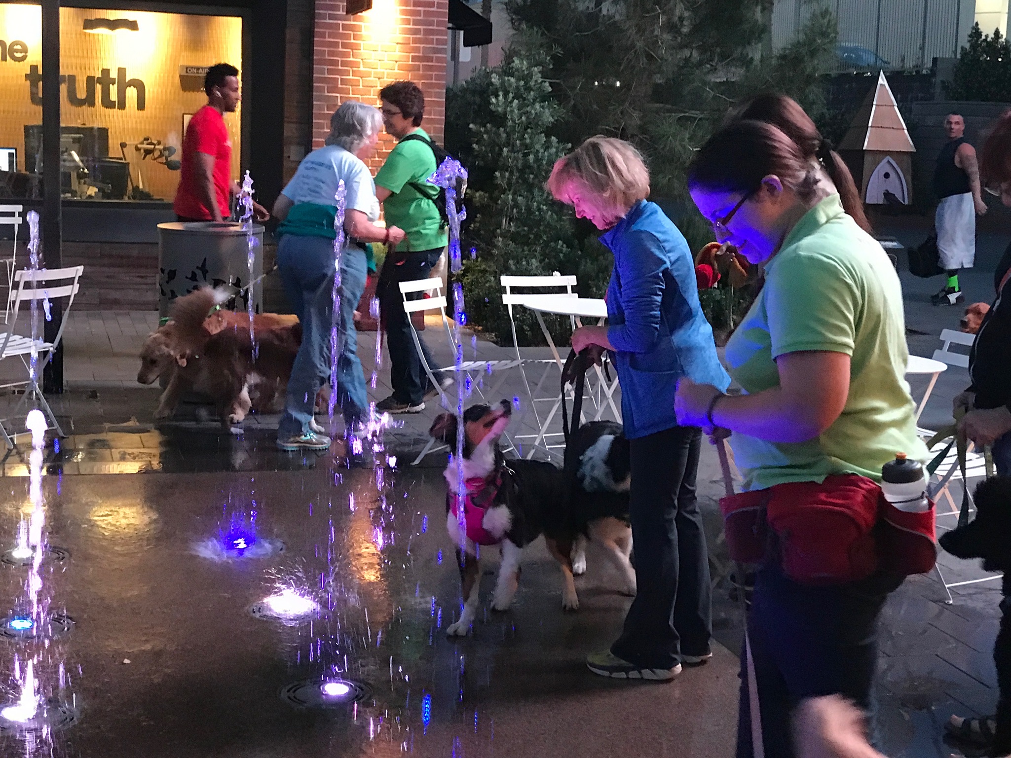 March 2017 "The Village" Walk