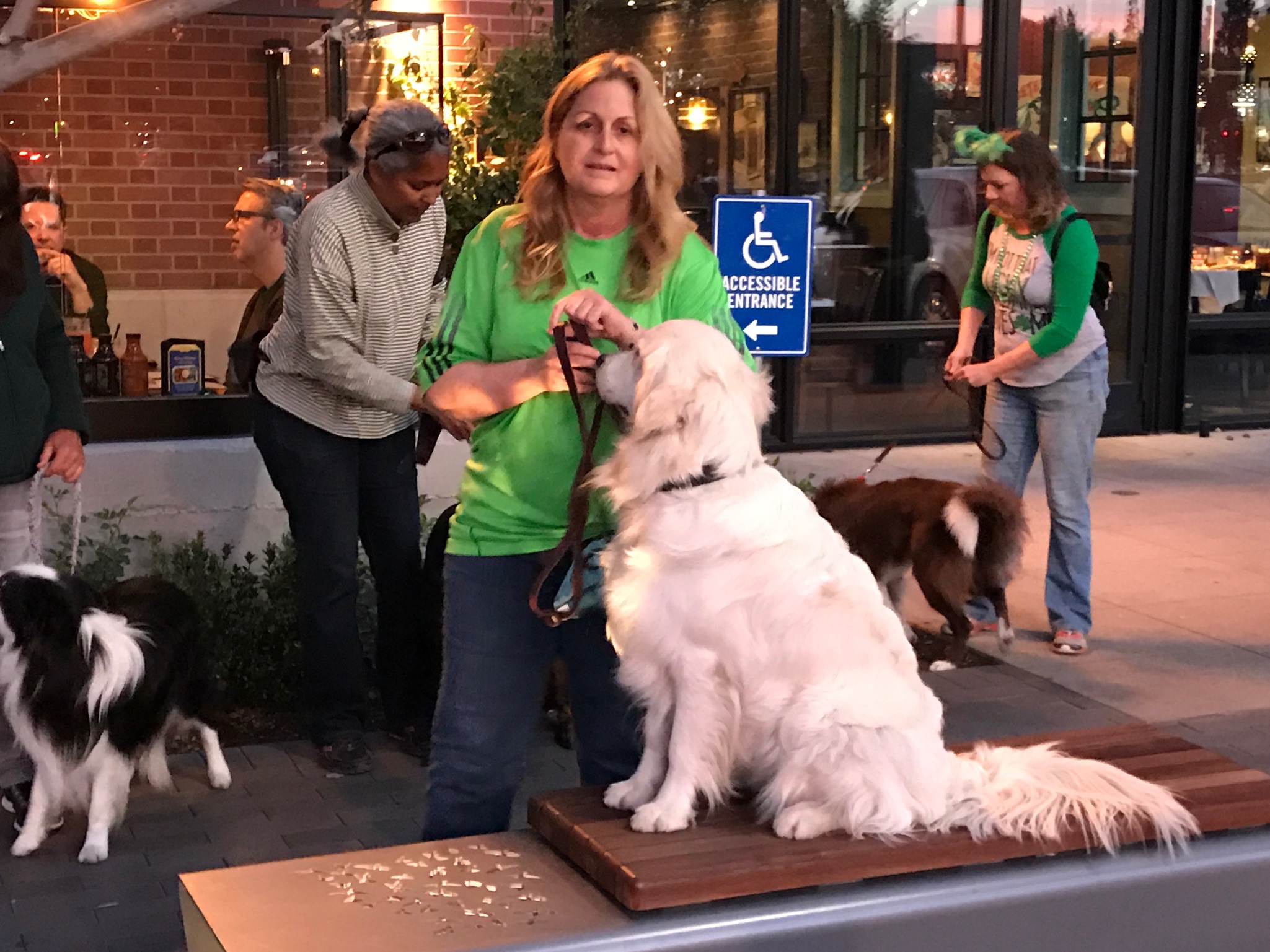 March 2017 "The Village" Walk